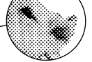 halftone6-02-03.gif