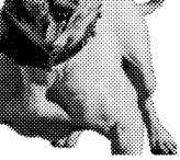 halftone6-03-02.gif